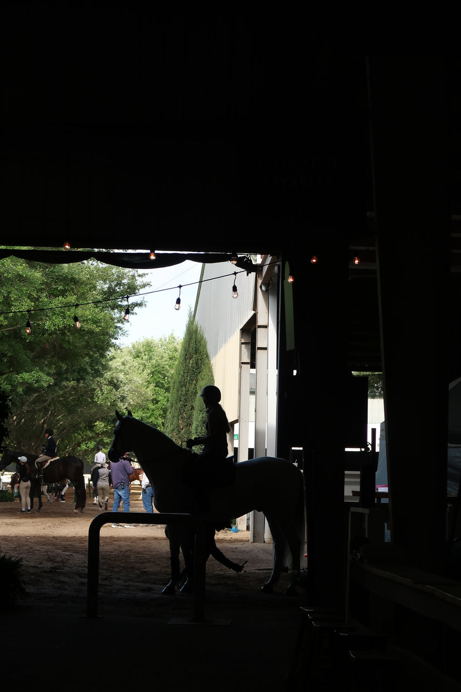 The 80th Pin Oak Charity Horse Show Week I