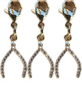 Sparkly Wishbone