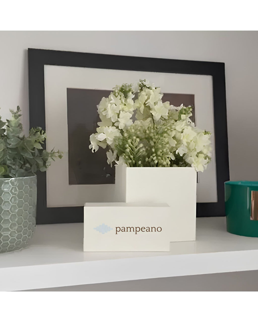 Pampeano Belt Gift Box