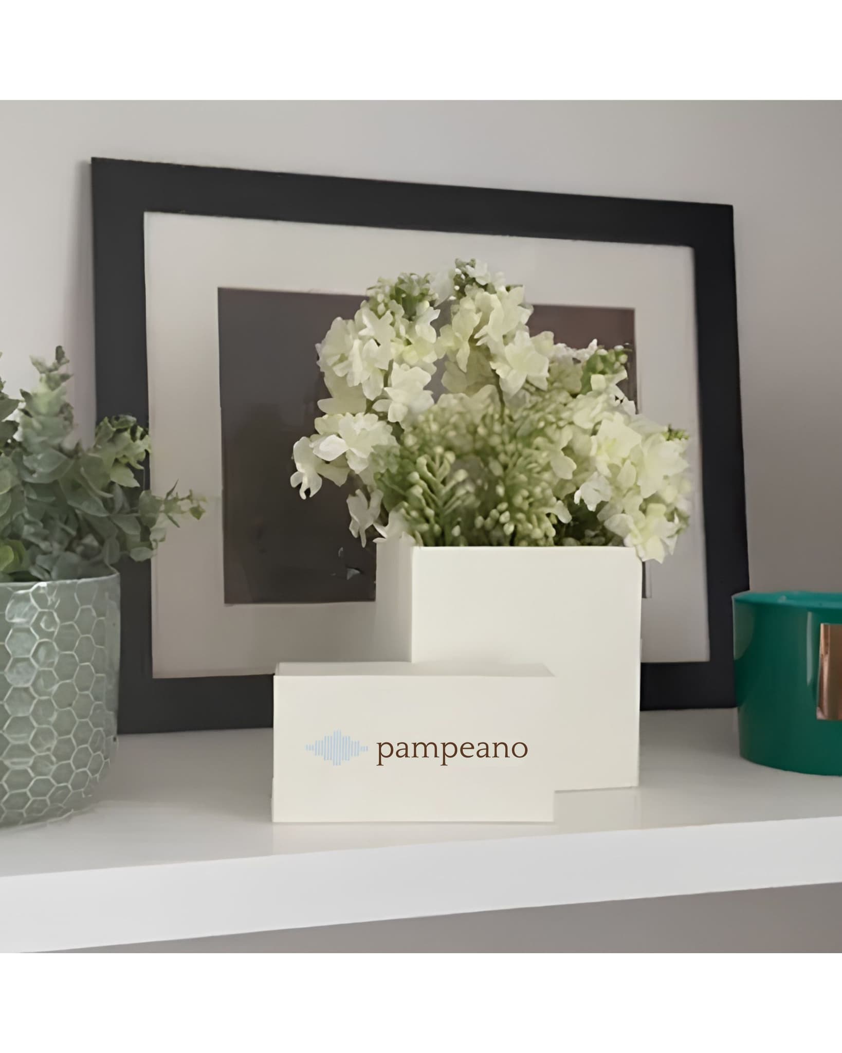 Pampeano Belt Gift Box