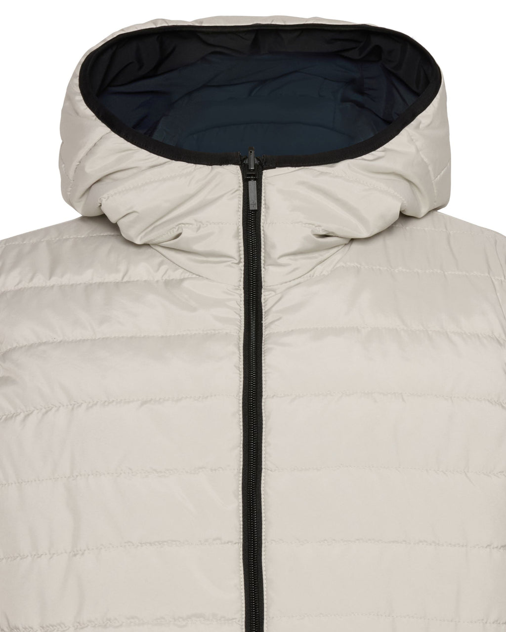 Navy/White