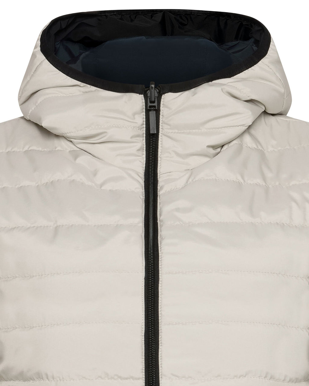 Navy/White
